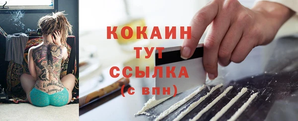 хмурый Аркадак