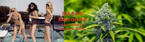 хмурый Аркадак