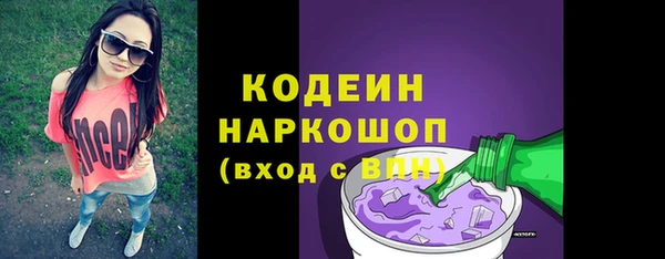хмурый Аркадак