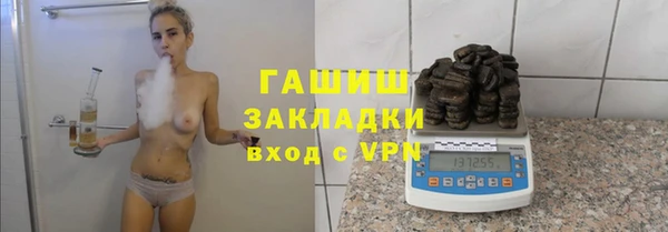 хмурый Аркадак