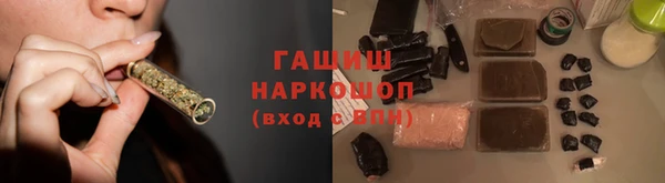 хмурый Аркадак