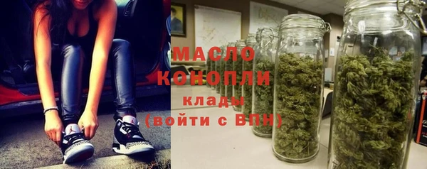 хмурый Аркадак