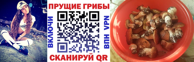 Псилоцибиновые грибы MAGIC MUSHROOMS  Таруса 